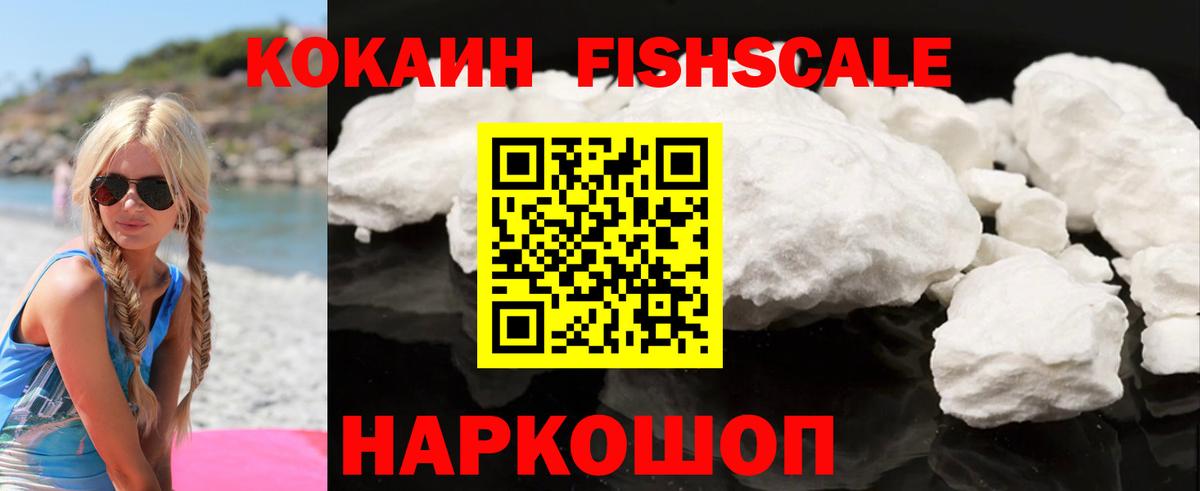 Cocaine FishScale  Вход с VPN  Елабуга 