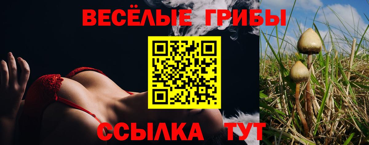 Псилоцибиновые грибы GOLDEN TEACHER  Вход с VPN  Елабуга  Галлюциногенные грибы прущие грибы 