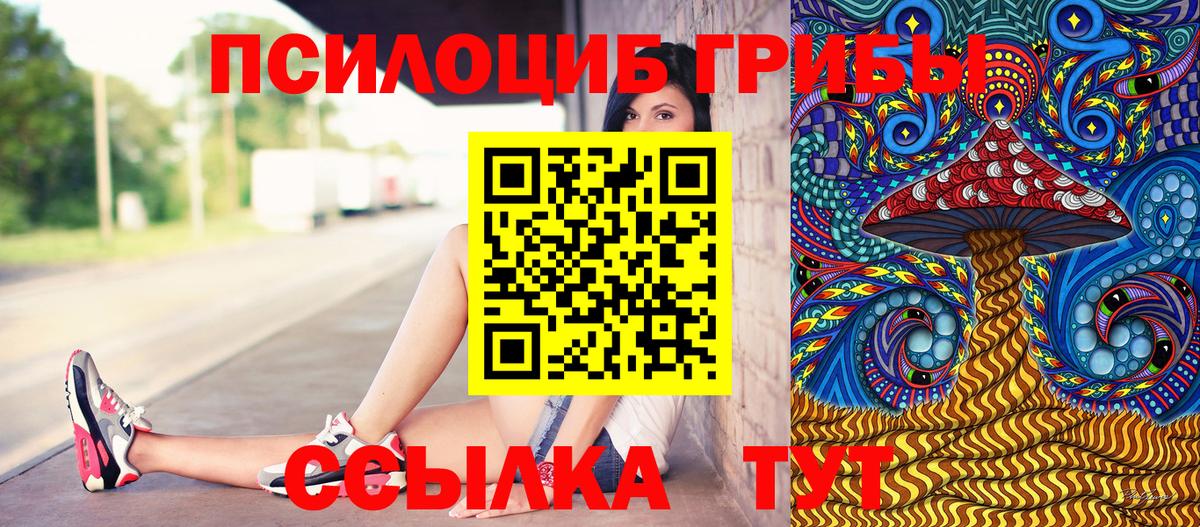 Псилоцибиновые грибы мухоморы Елабуга